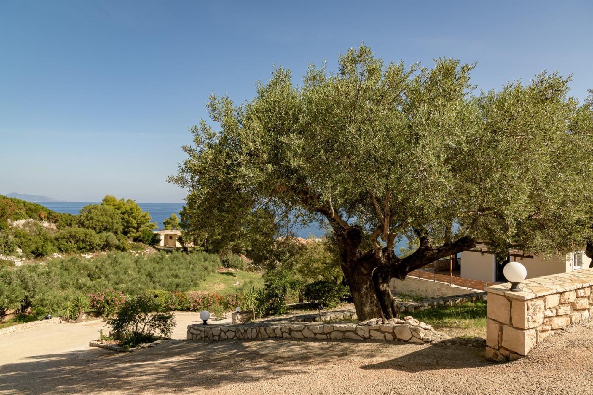 Villa Mare Studios Σκινάρια Εξωτερικό φωτογραφία